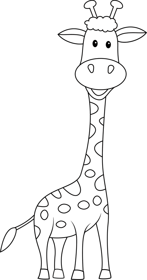 Une girafe